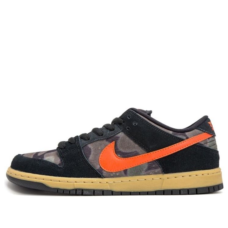Nike SB Dunk Low Premium 'Brian Anderson' 313170-083 Epochal Sneaker